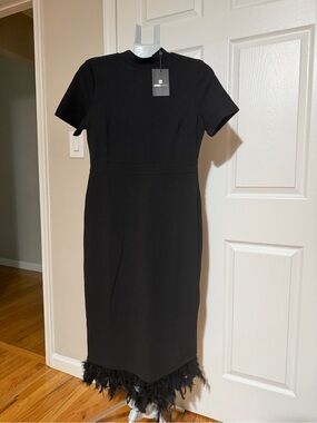 Black Feather-Hem Sheath Dress by Unknown Brand